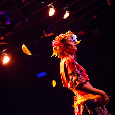 Calypso <em>Photo: Saša Huzjak</em>